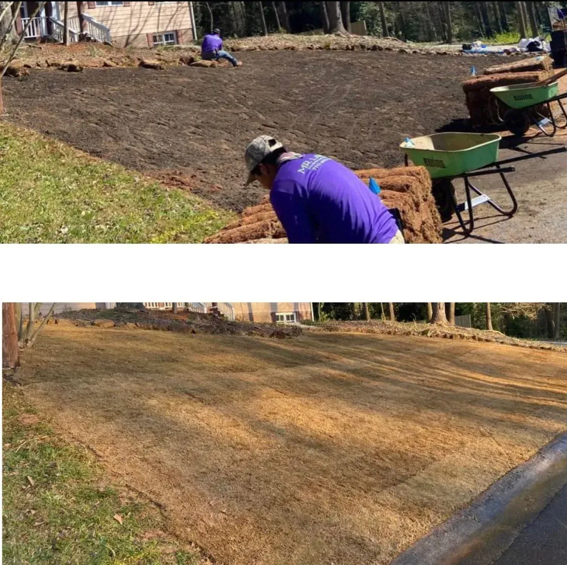 Workers laying down ground cover in a yard, visible wheelbarrows, and brown landscape.