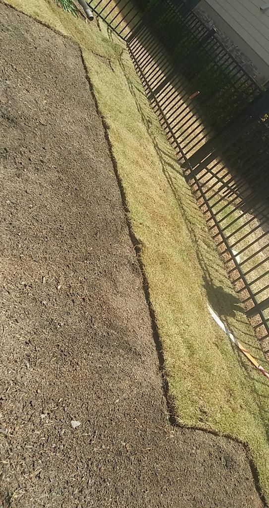Long, narrow strip of grass bordering gravel, alongside a dark fence.