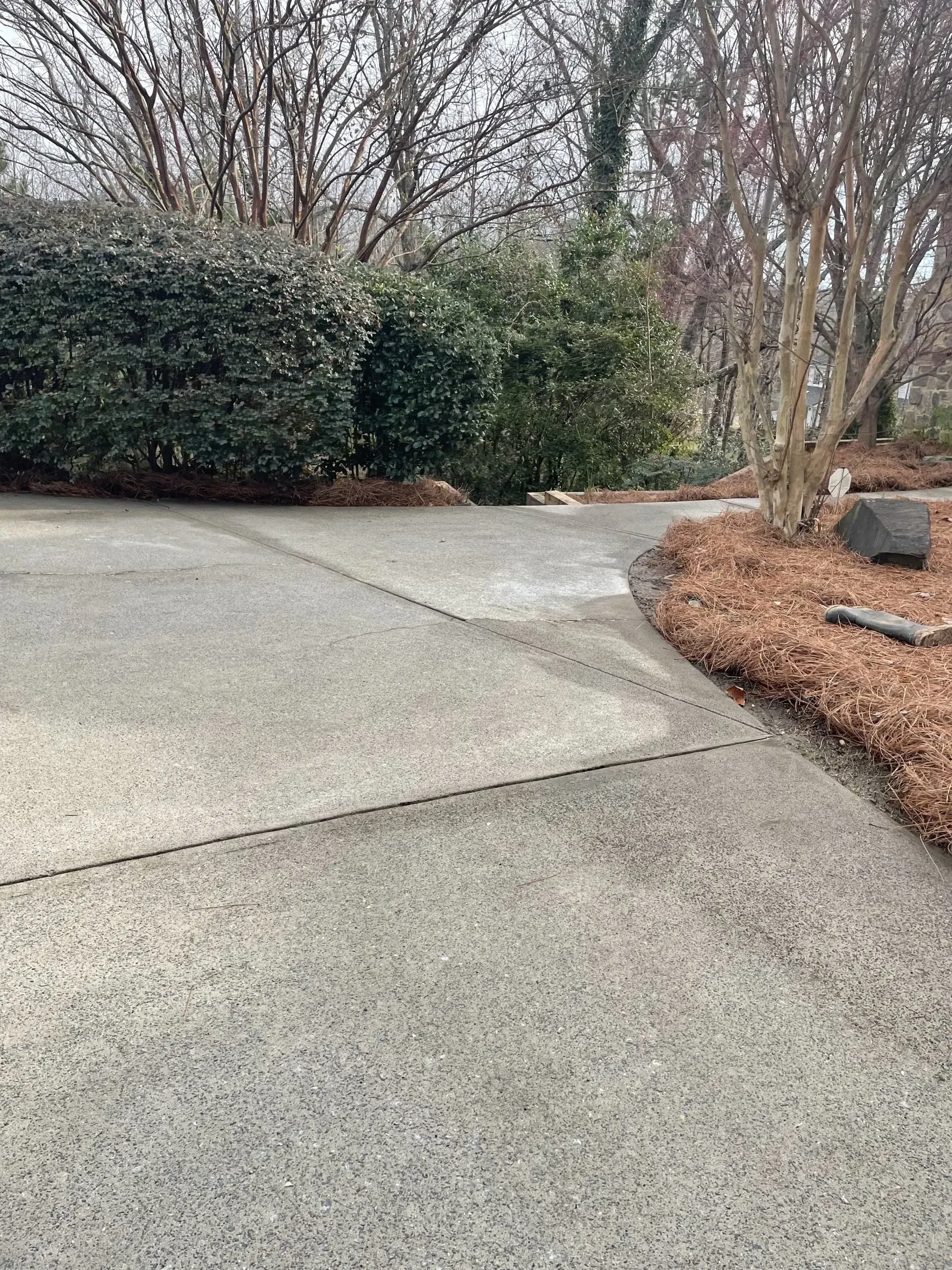 Concrete driveway curving towards a dark green bush, trees and mulch on the right side.