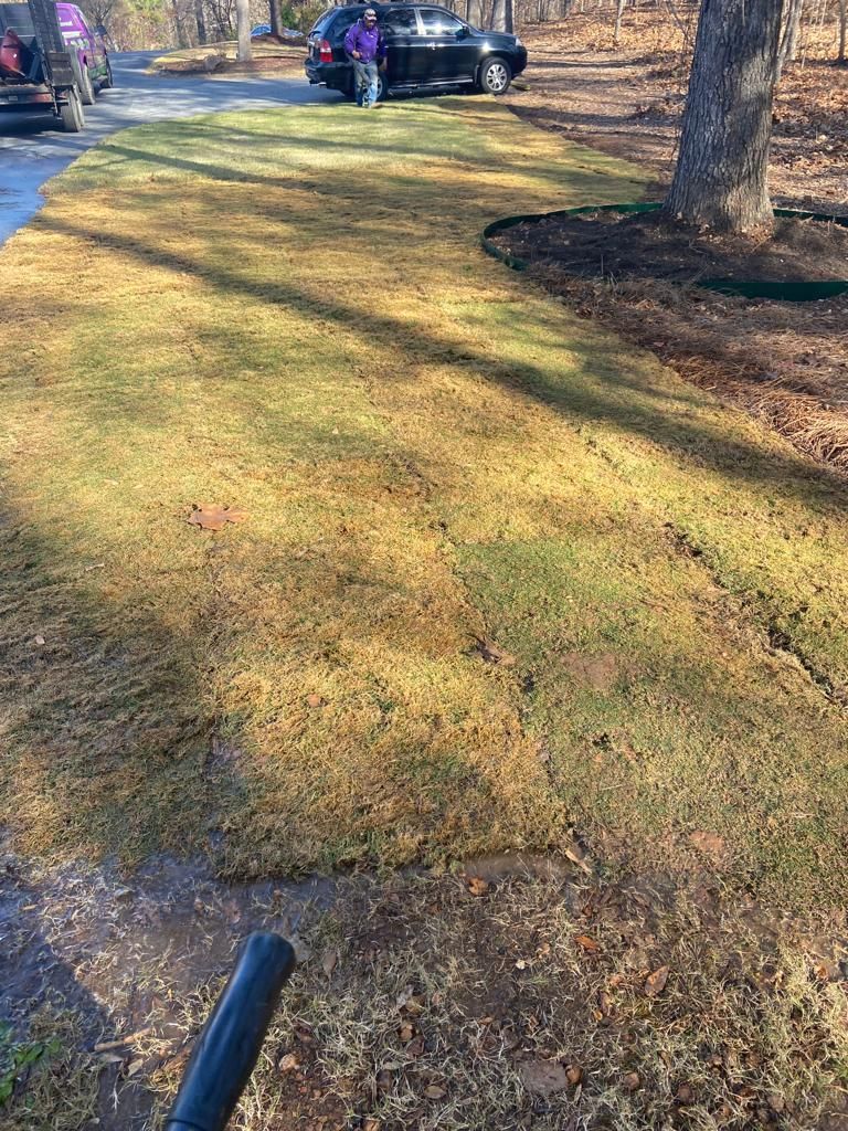 Person using a leaf blower on a lawn; cars and trees in the background. Brown grass.