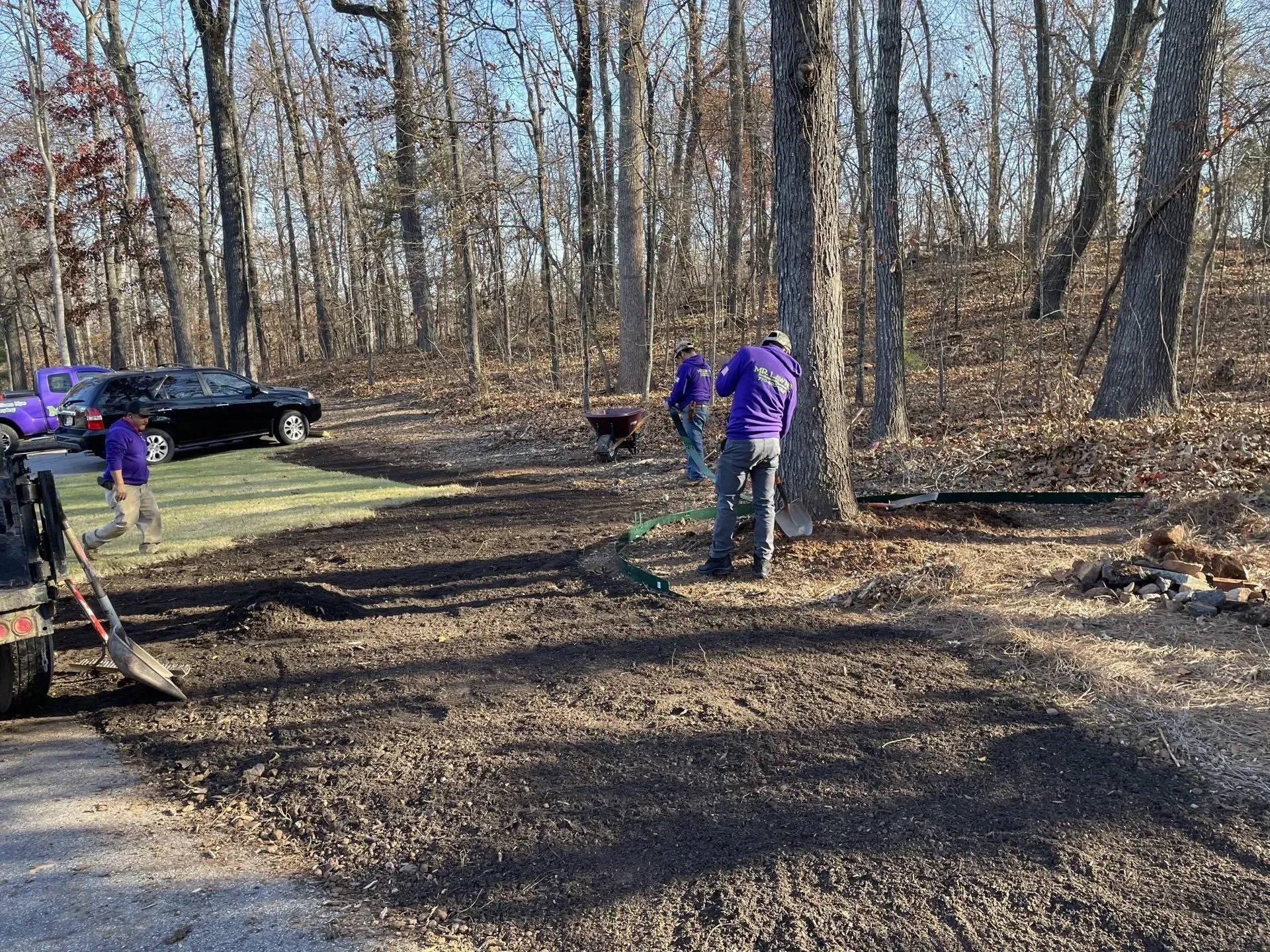 People in purple shirts work on a mulched area near trees and a road, with cars parked nearby.