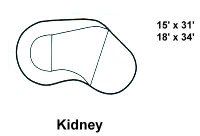 Kidney