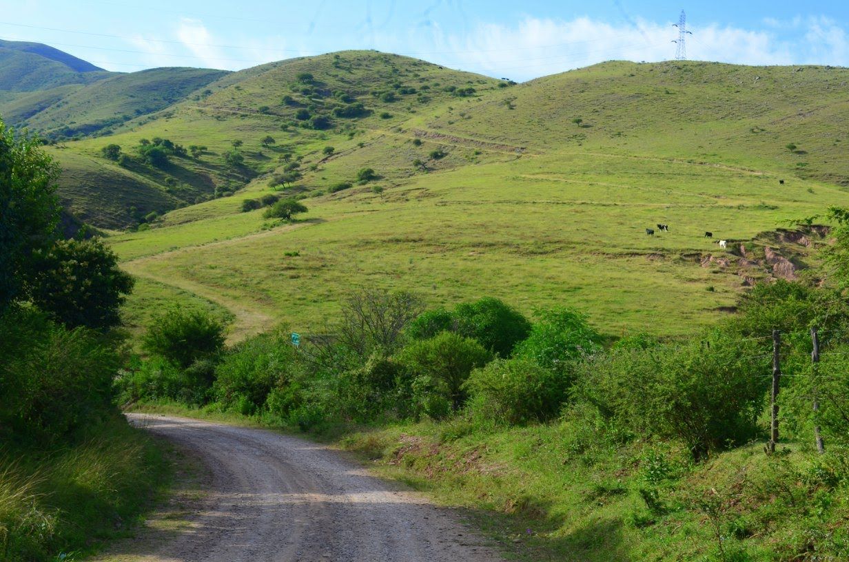 Un camino de tierra serpentea a través de verdes colinas bajo un cielo azul.