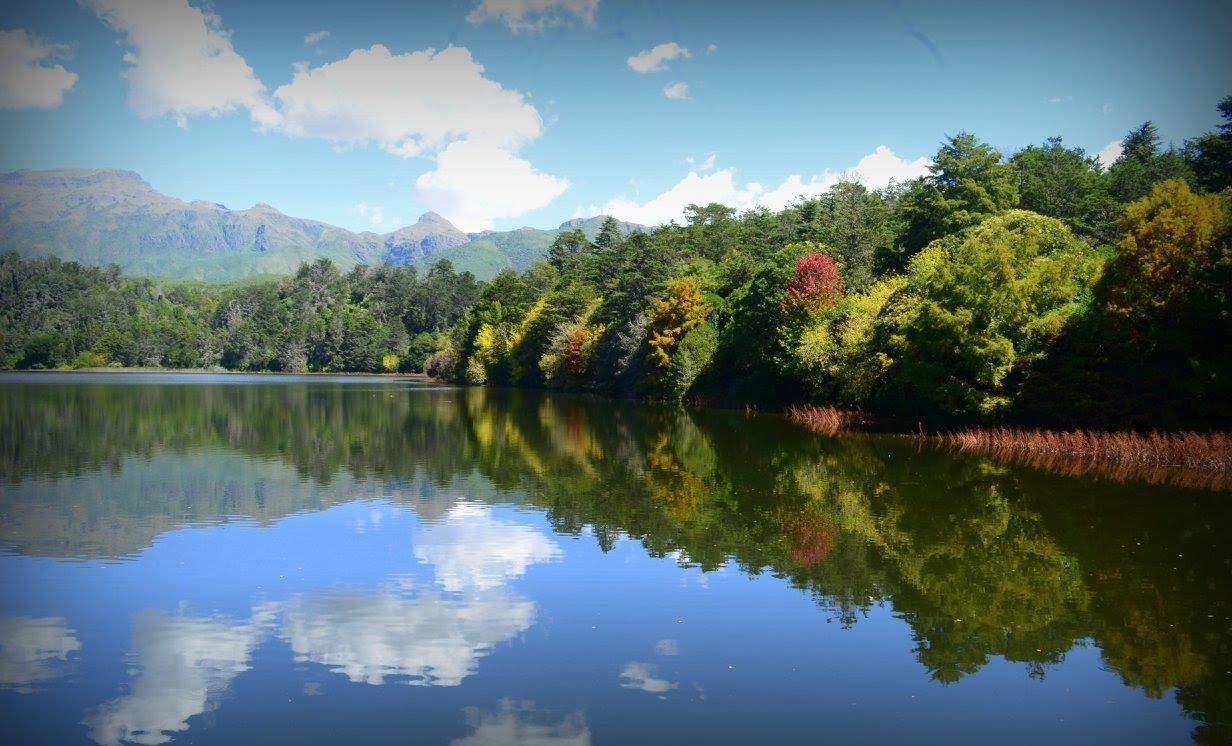 Lago con árboles y cielo reflejados, con montañas al fondo. Agua y cielo azules, árboles verdes con colores otoñales.