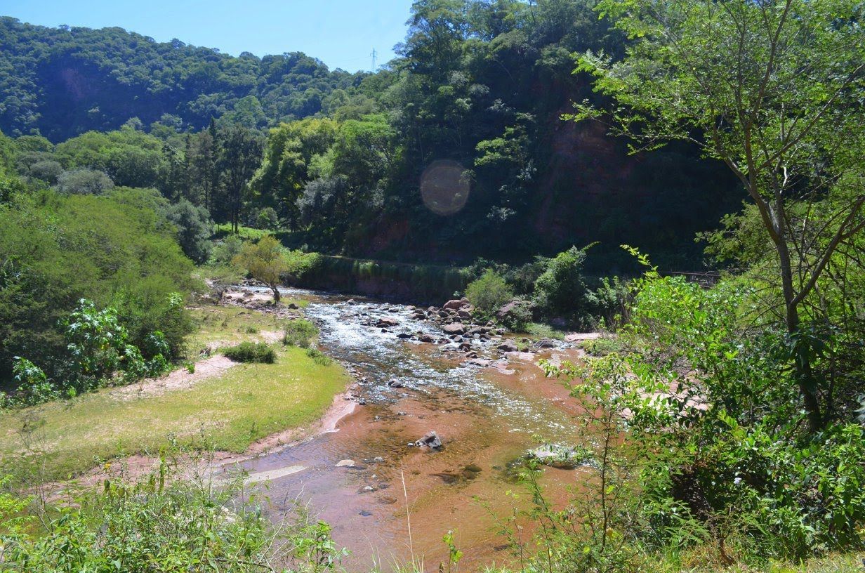 Un río que fluye a través de un exuberante paisaje verde, con árboles y orillas cubiertas de hierba bajo un cielo brillante.