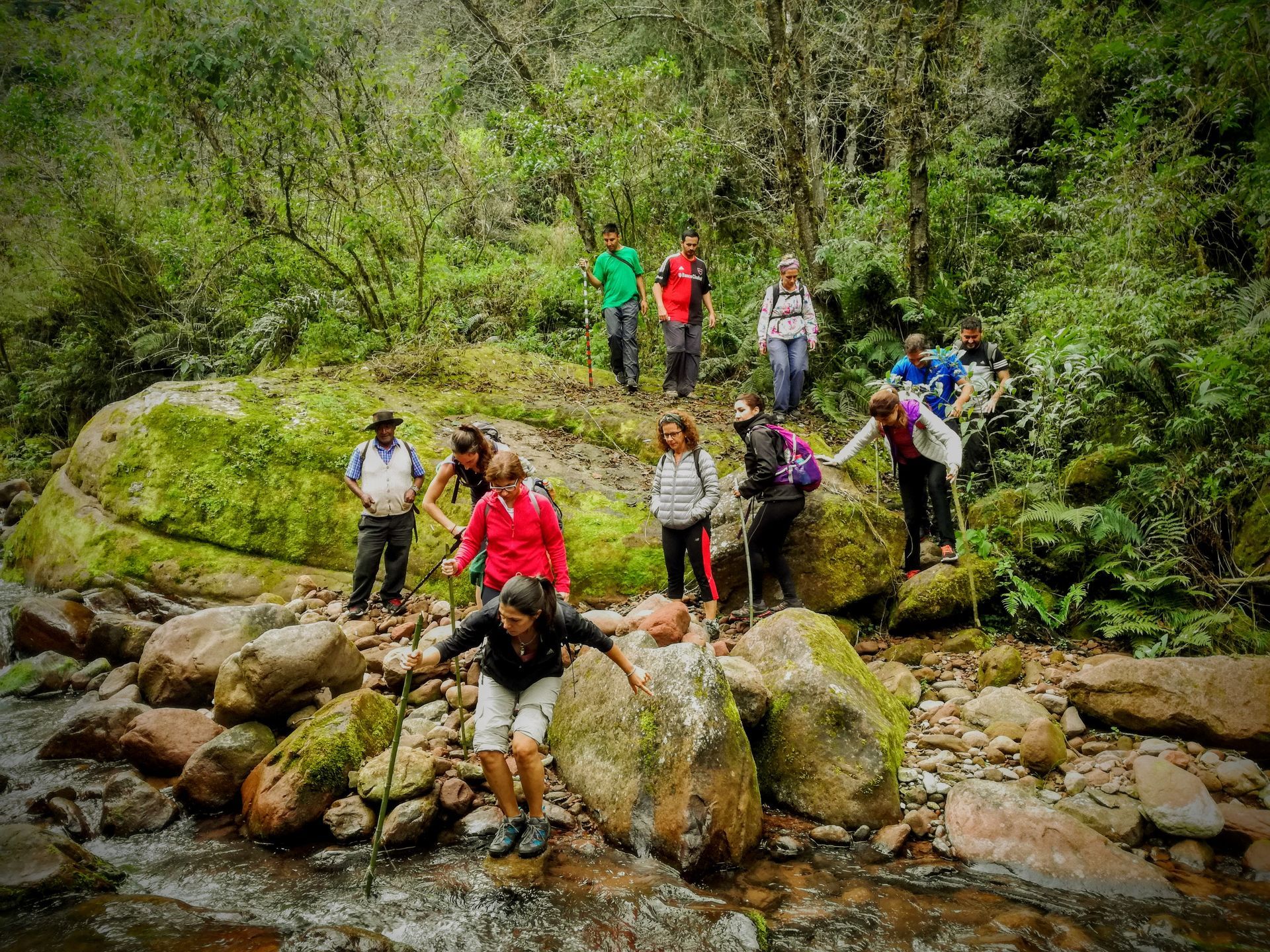Grupo de personas caminando a través de un frondoso bosque, cruzando un arroyo pisando sobre las rocas.