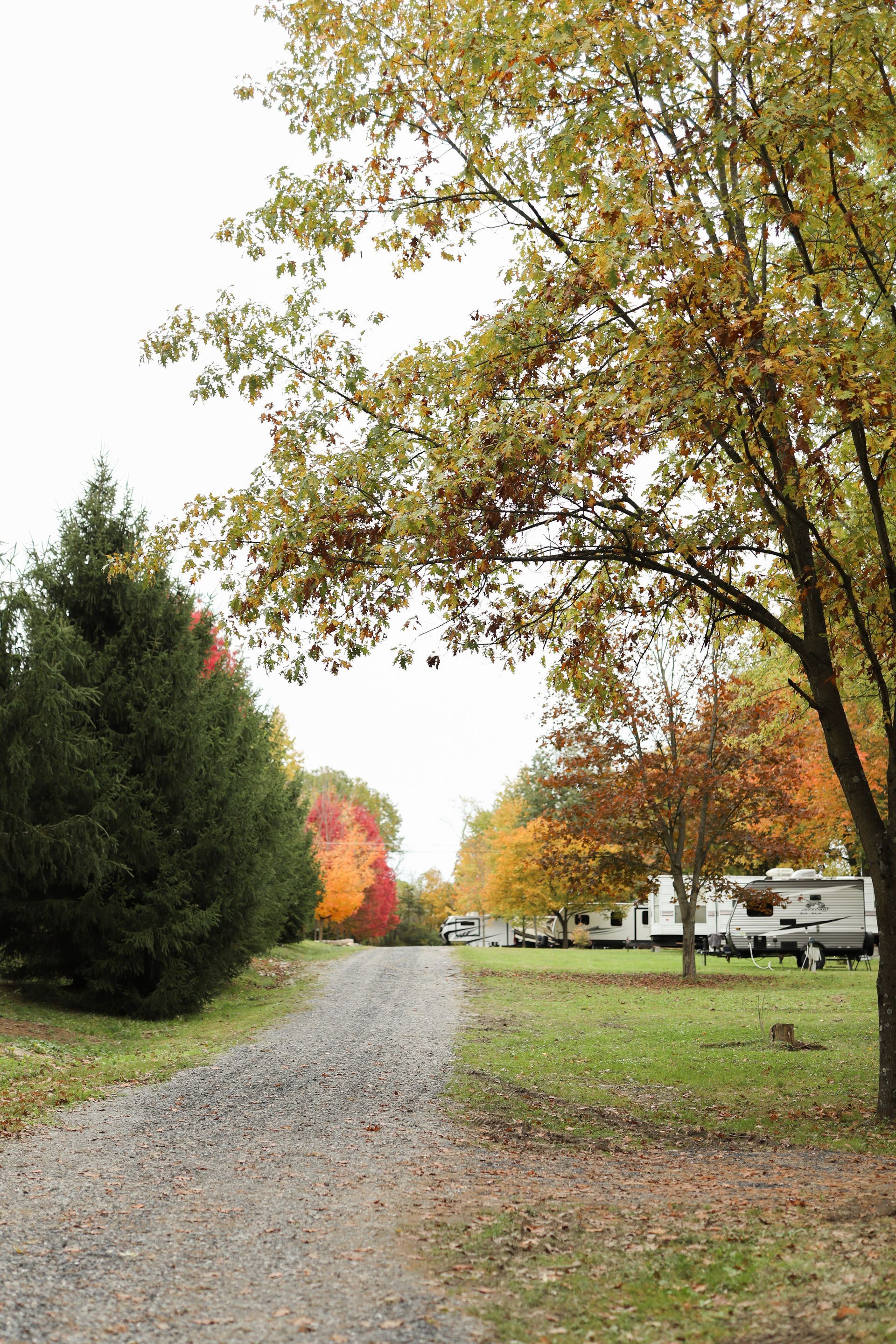 A dirt road with trees on both sides and a camper in the background.