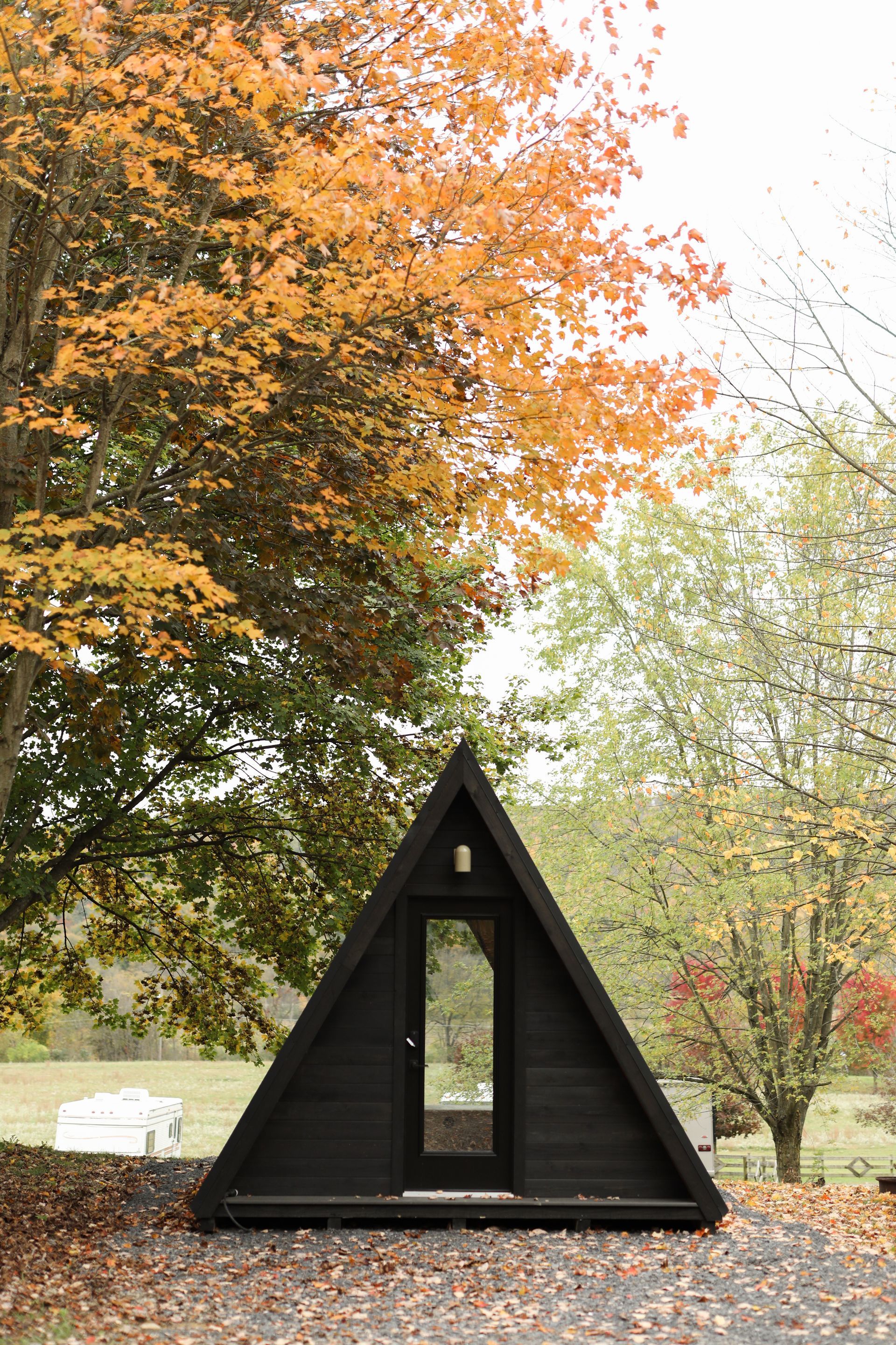 A small black triangle house is sitting in the middle of a forest.