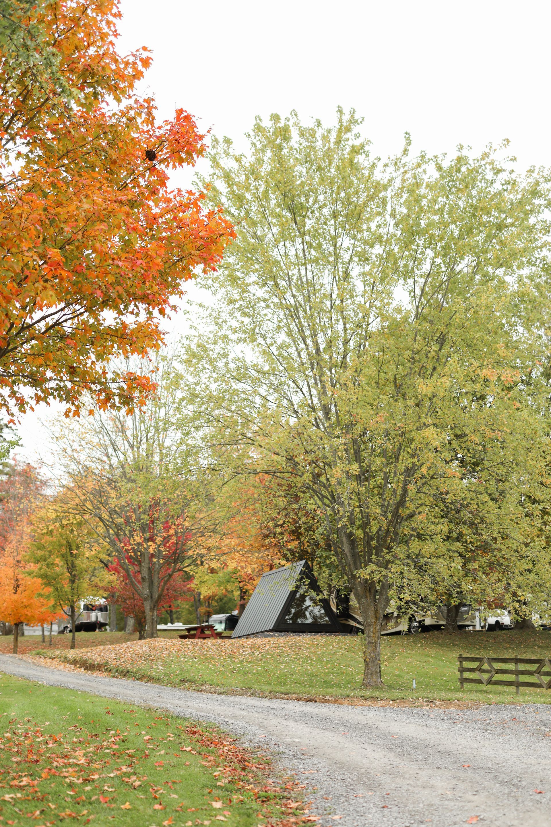 A dirt road going through a park with trees and a tent in the background.