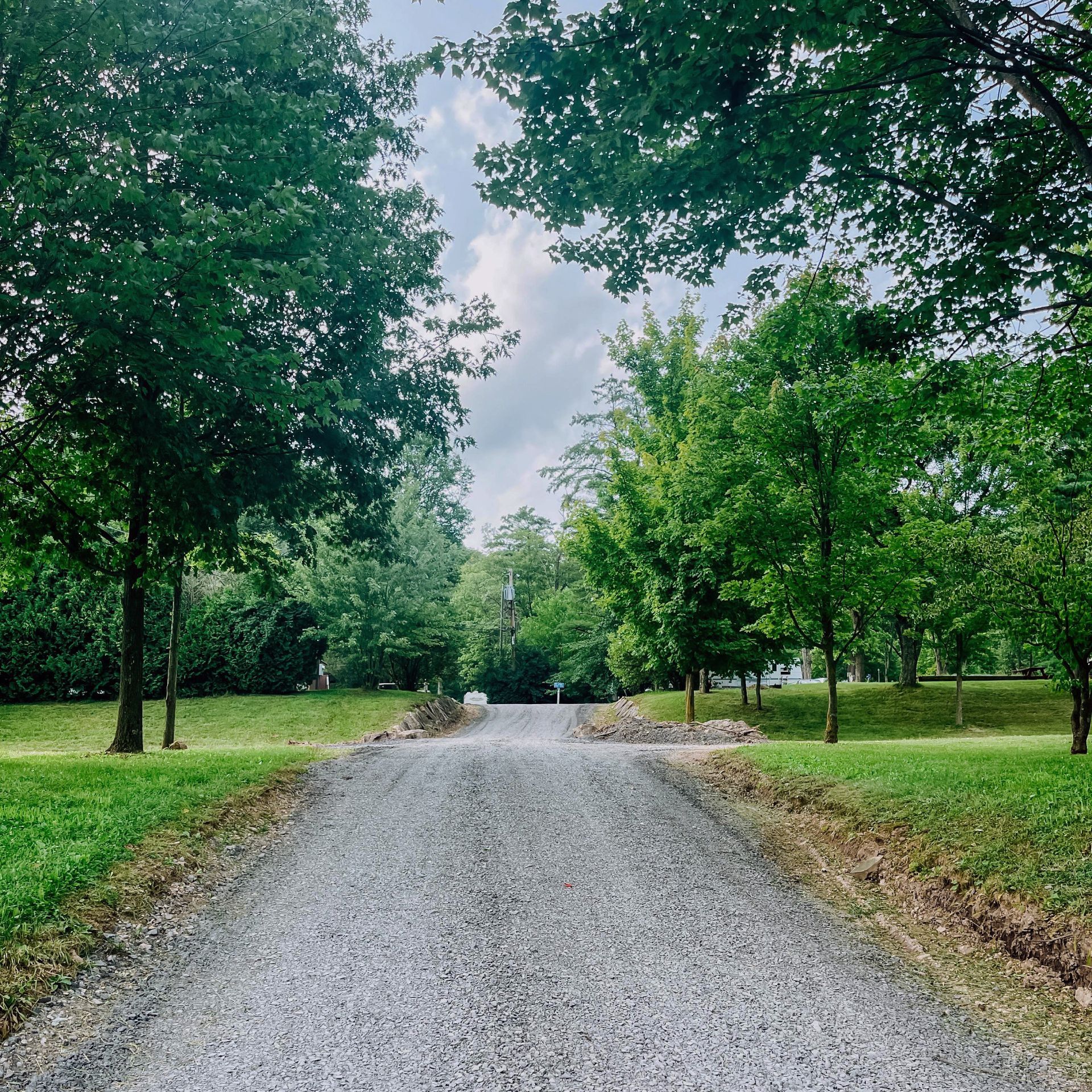 A gravel road with trees on both sides of it