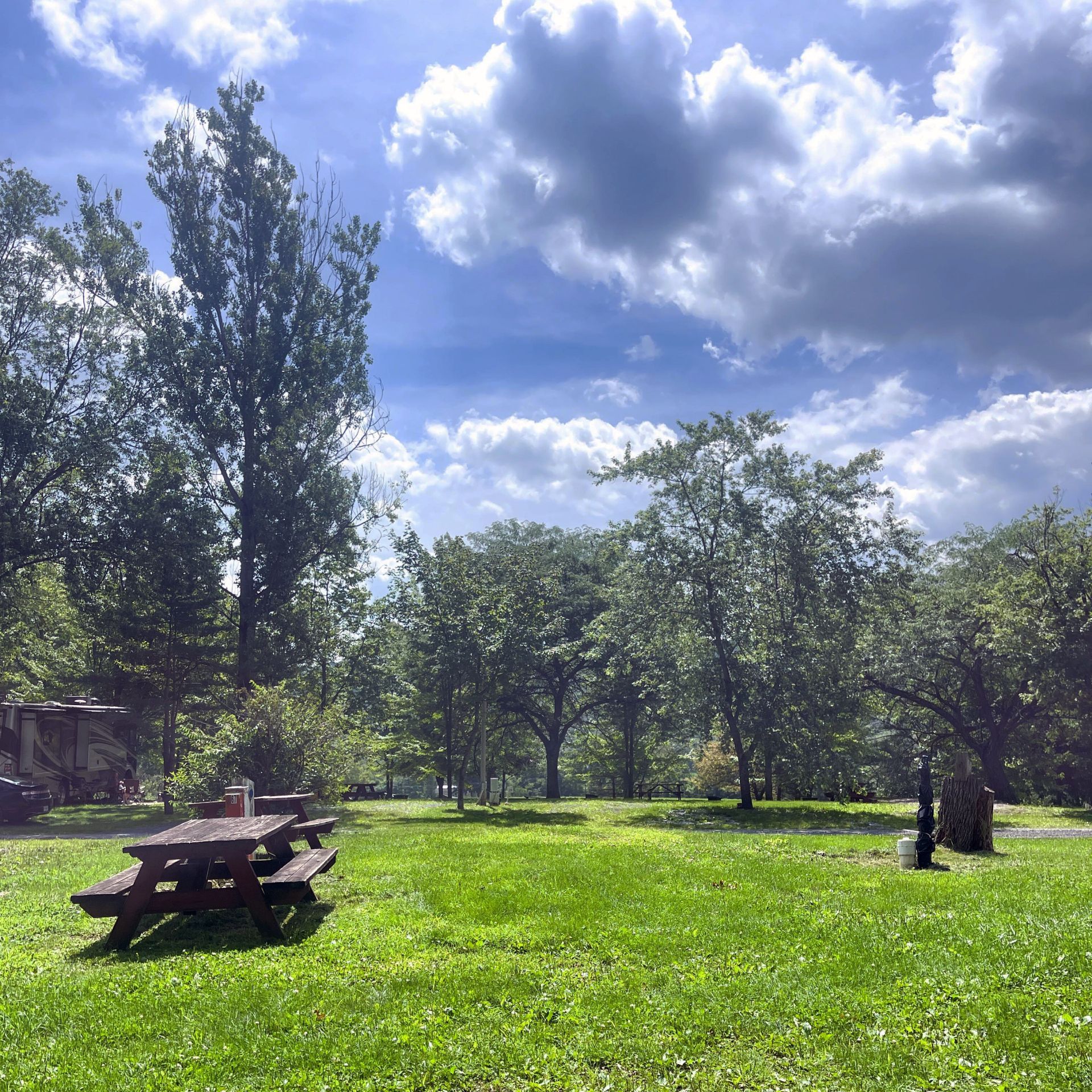 A picnic table in a grassy field with trees in the background