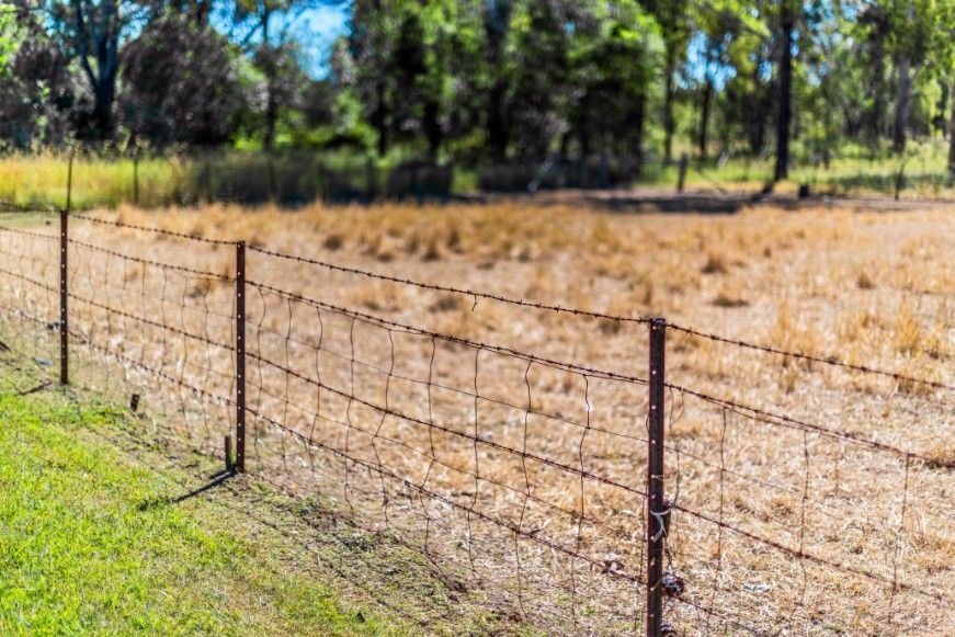 A Barbed Wire Fence Surrounds A Field With Trees In The Background — CQ Fencing & Retaining Walls In Clinton, QLD