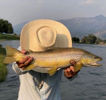 Trout Fishing