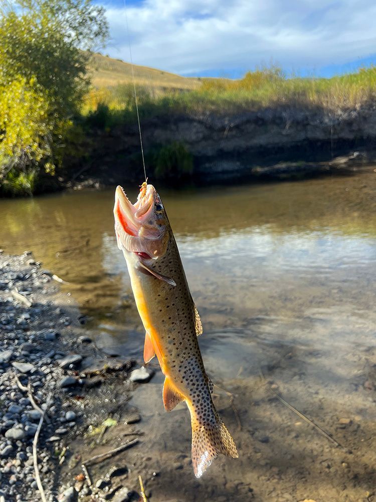 Paradise Valley Angler Private Water Gallery Image