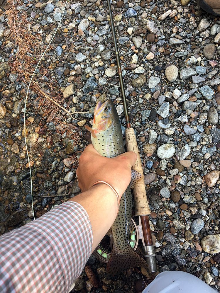 Paradise Valley Angler Private Water Gallery Image