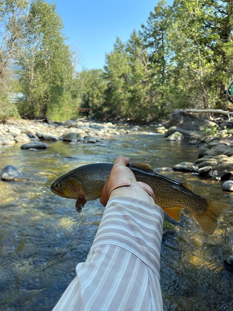 Paradise Valley Angler Private Water Gallery Image