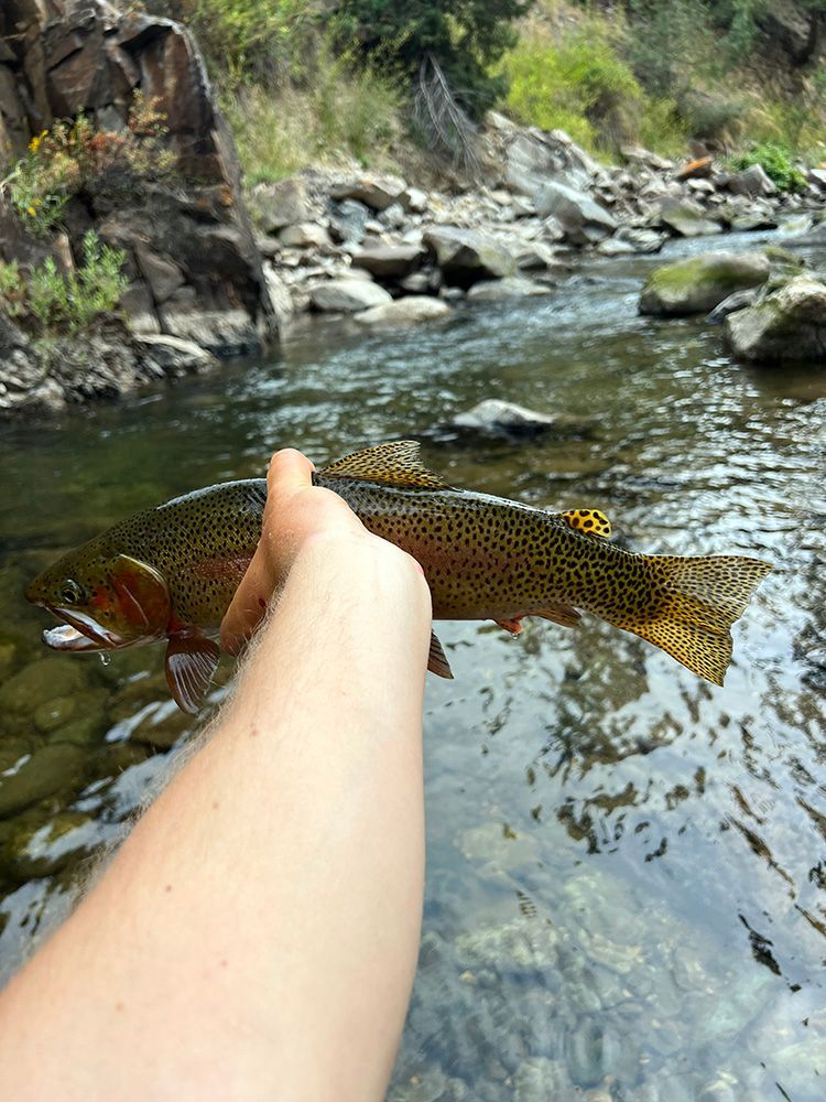Paradise Valley Angler Private Water Gallery Image