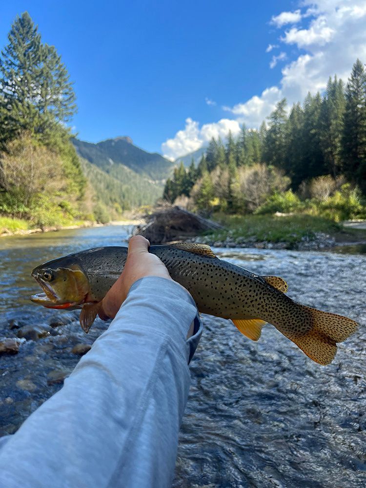 Paradise Valley Angler Private Water Gallery Image