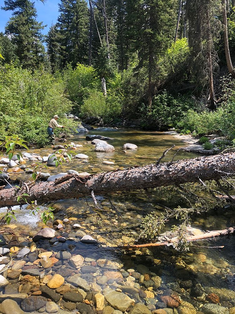 Paradise Valley Angler Private Water Gallery Image