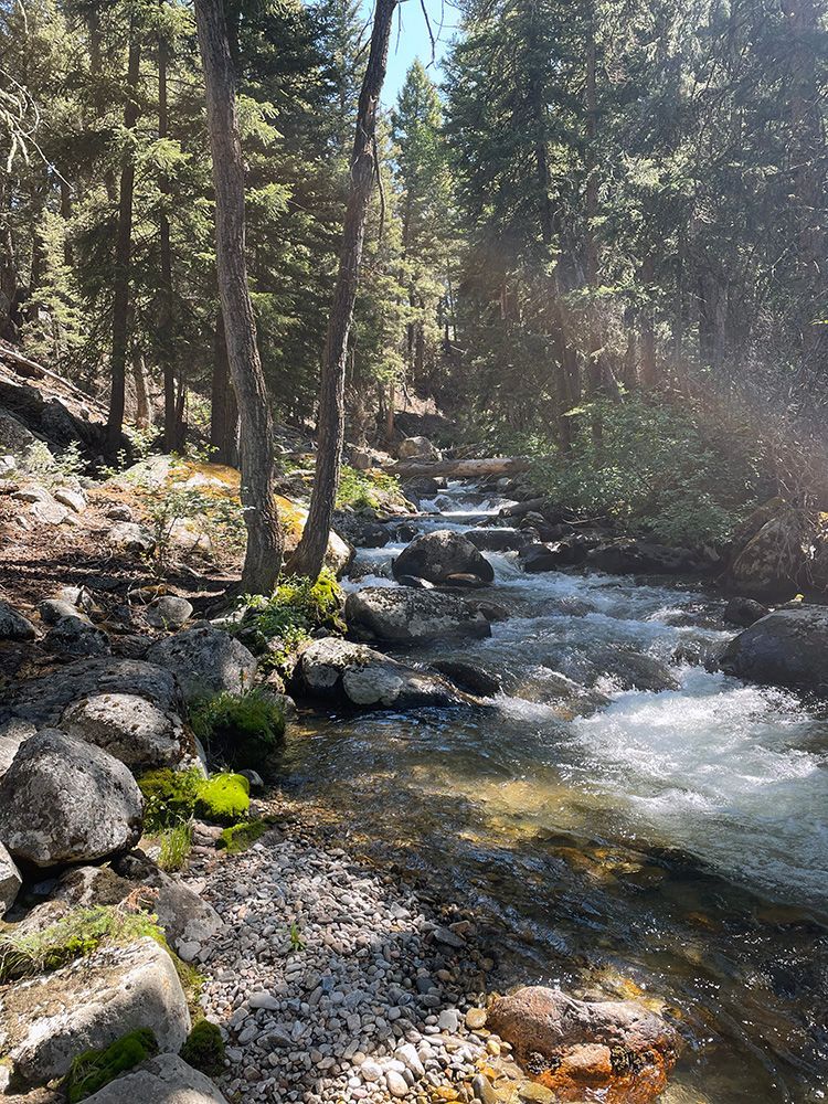 Paradise Valley Angler Private Water Gallery Image