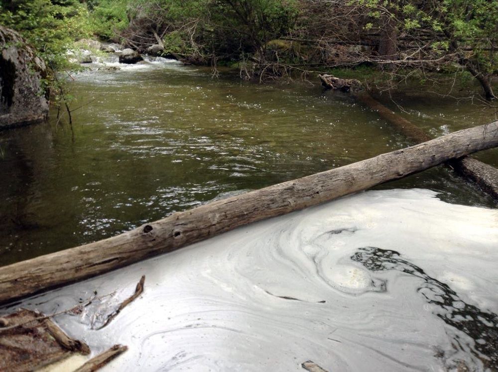 Paradise Valley Angler Private Water Gallery Image