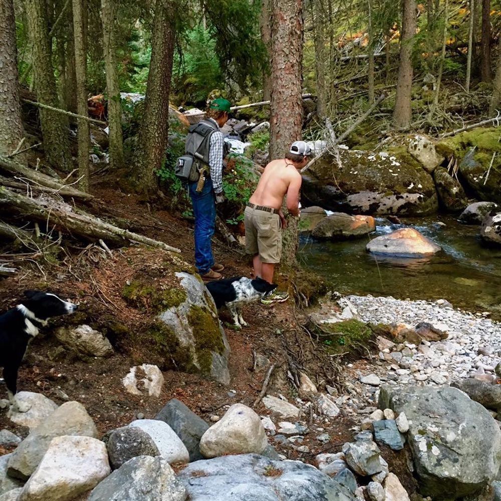 Paradise Valley Angler Private Water Gallery ImageParadise Valley Angler Private Water Gallery Image