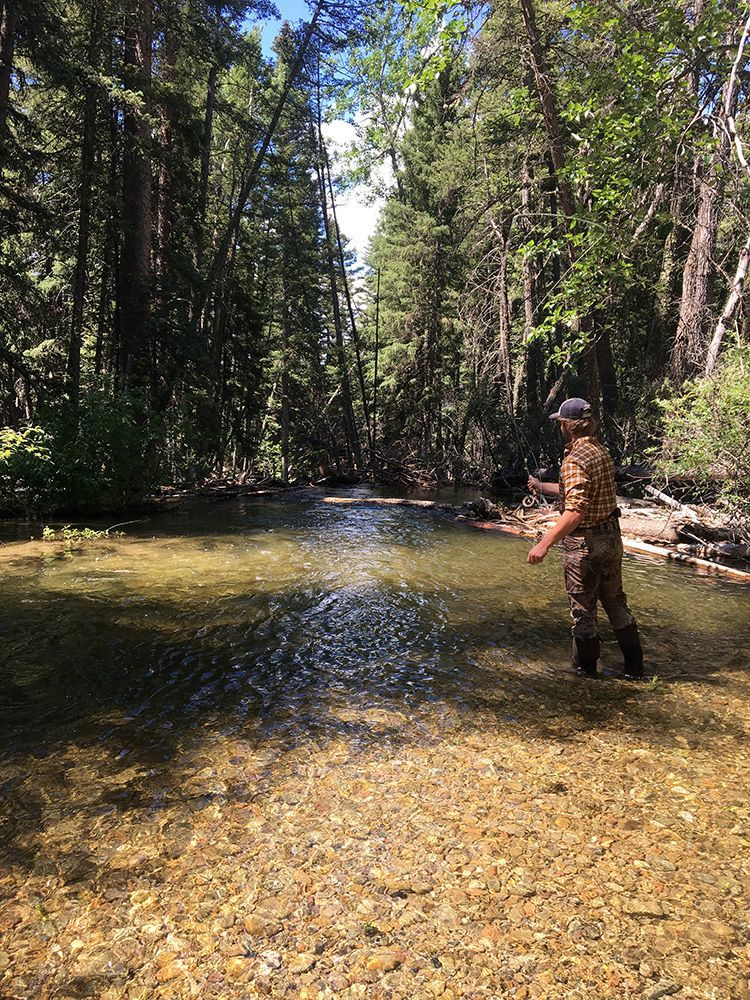 Paradise Valley Angler Private Water Gallery Image