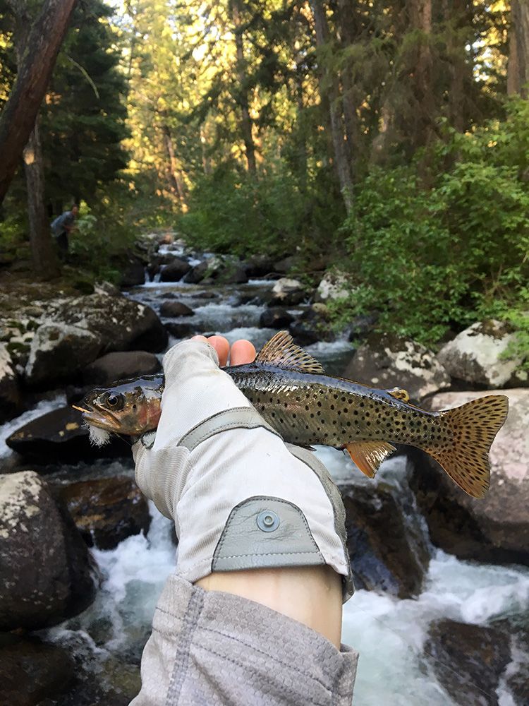 Paradise Valley Angler Private Water Gallery Image