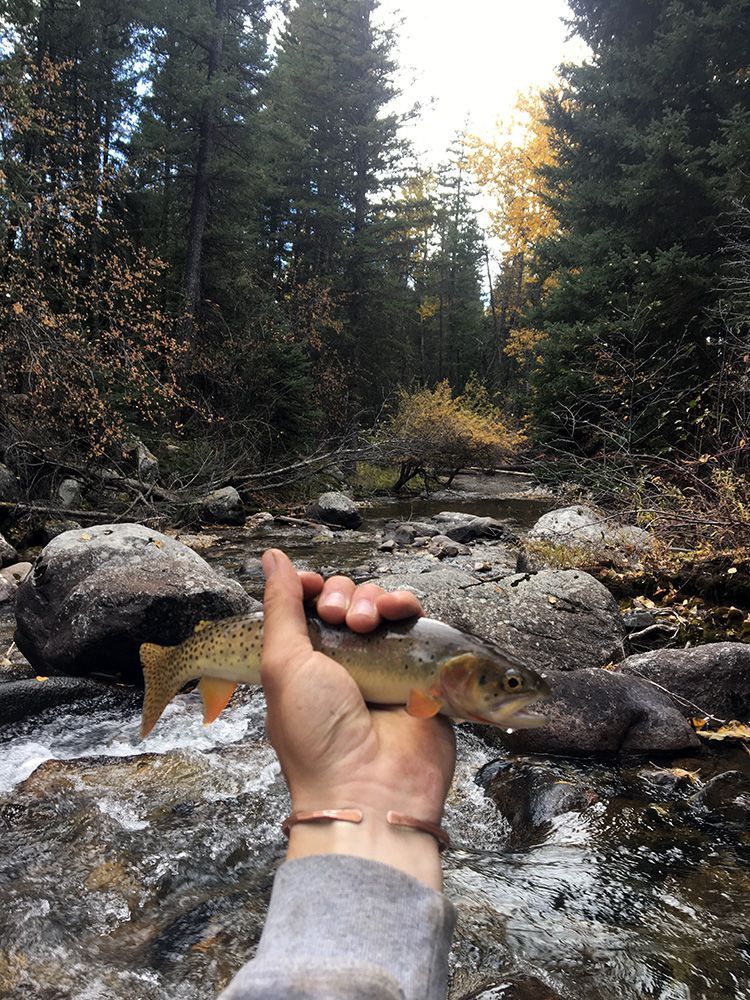 Paradise Valley Angler Private Water Gallery Image