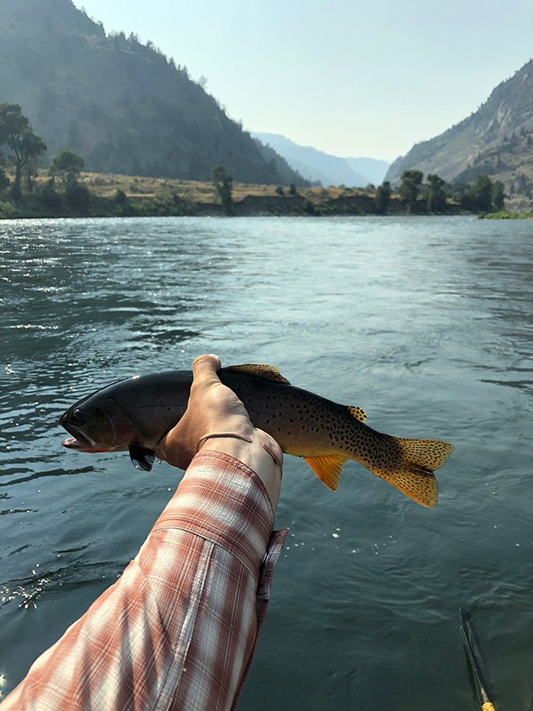 Paradise Valley Angler River Floats Gallery Image