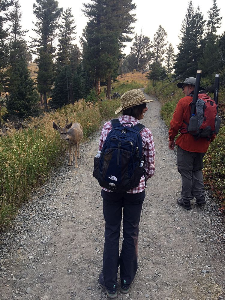 Paradise Valley Angler Yellowstone Park Gallery Image