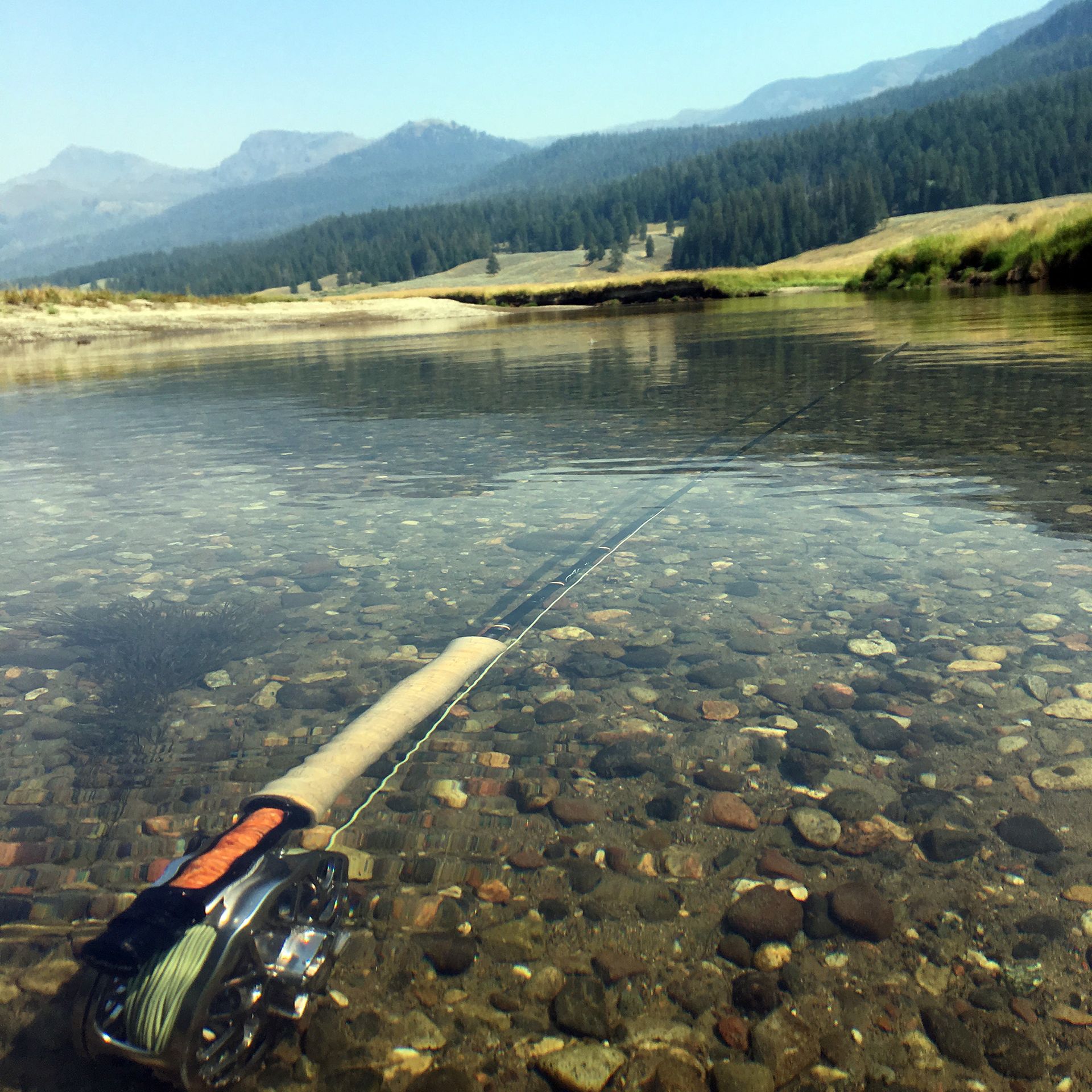Paradise Valley Angler Yellowstone Park Gallery Image