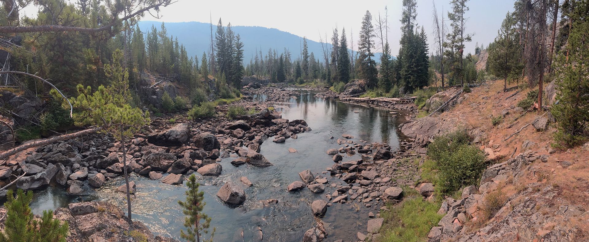 Paradise Valley Angler Yellowstone Park Gallery Image