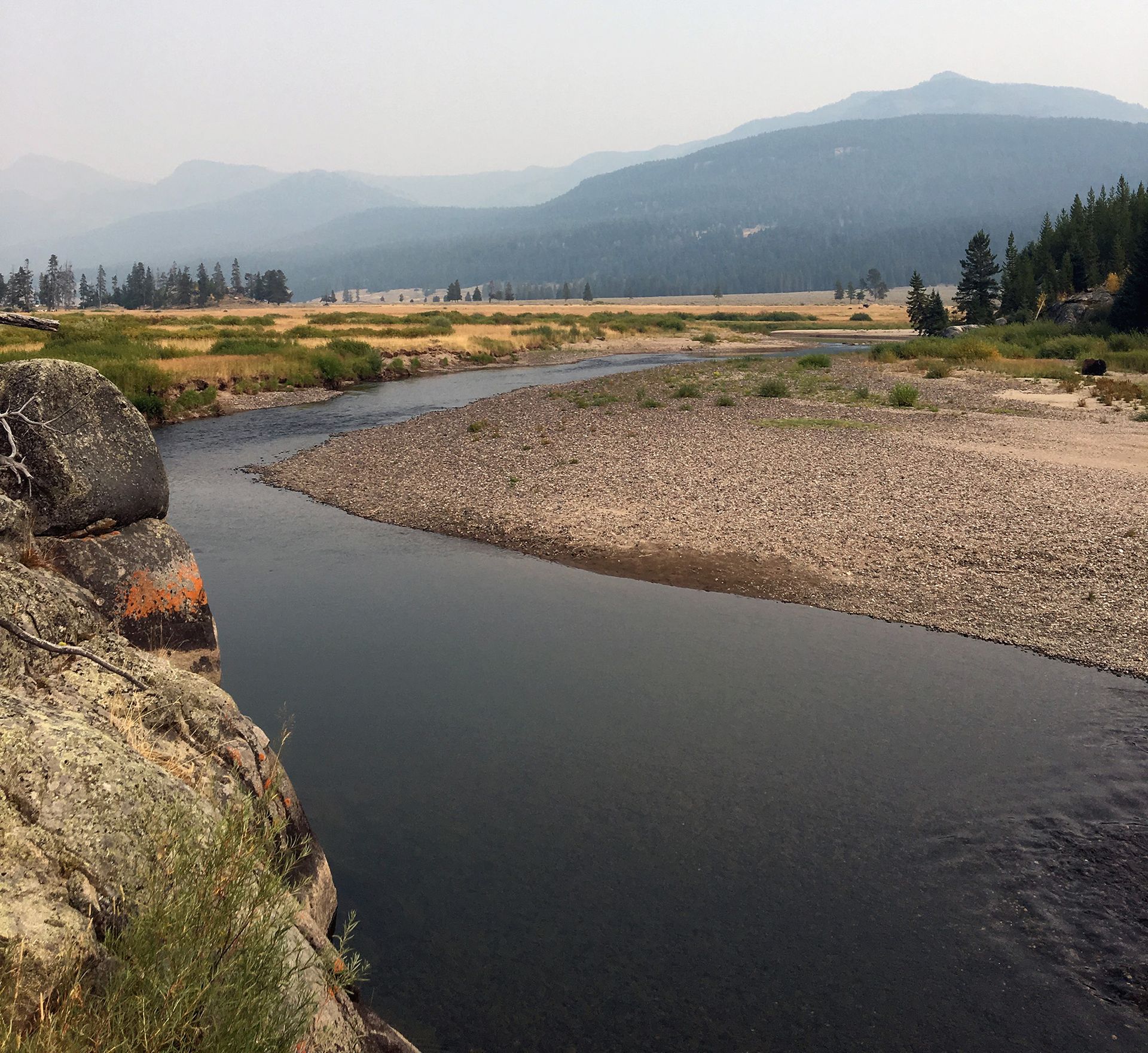 Paradise Valley Angler Yellowstone Park Gallery Image
