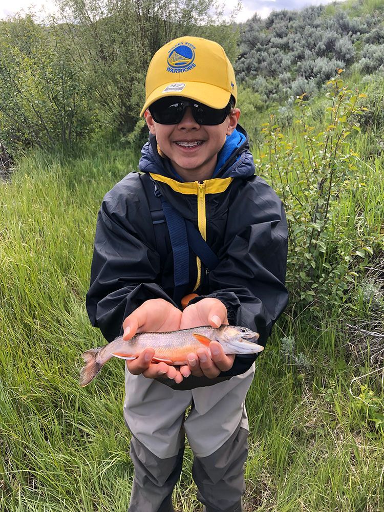Paradise Valley Angler Yellowstone Park Gallery Image