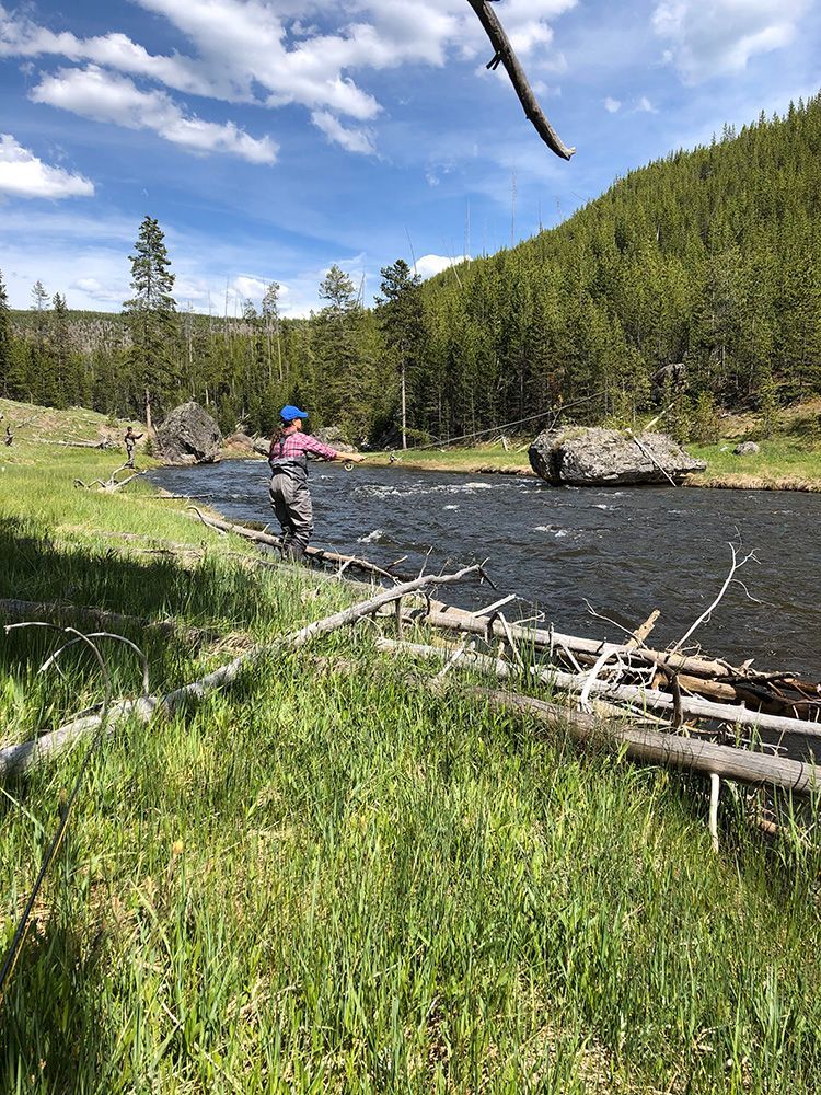 Paradise Valley Angler Yellowstone Park Gallery Image