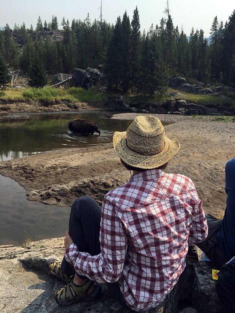 Paradise Valley Angler Yellowstone Park Gallery Image