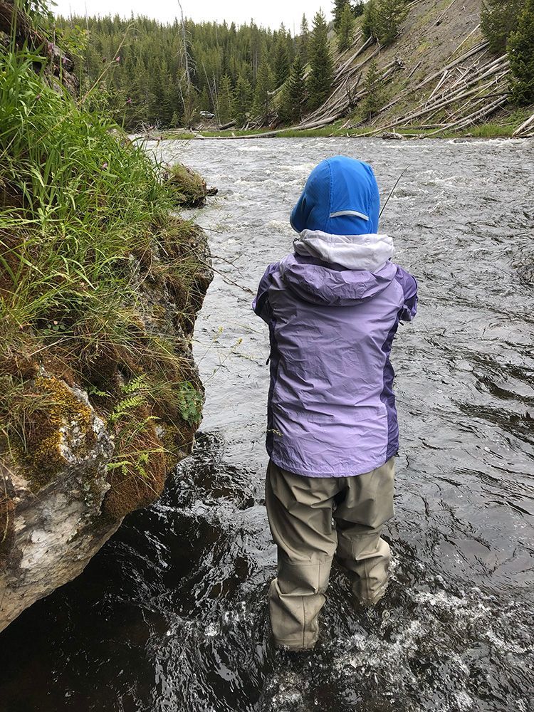 Paradise Valley Angler Yellowstone Park Gallery Image