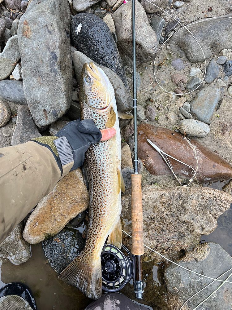 Paradise Valley Angler Yellowstone Park Gallery Image