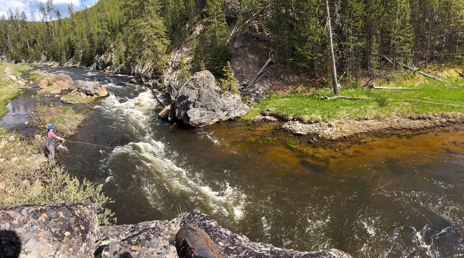 Paradise Valley Angler Yellowstone Park Gallery Image