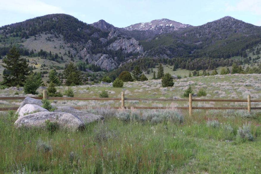 Paradise Valley Angler Land