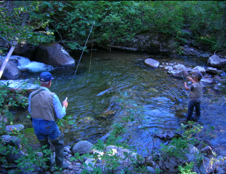 Paradise Valley Angler Fishing