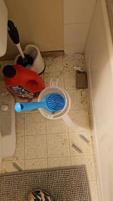 A bathroom with a bucket of cleaning supplies and a toilet brush