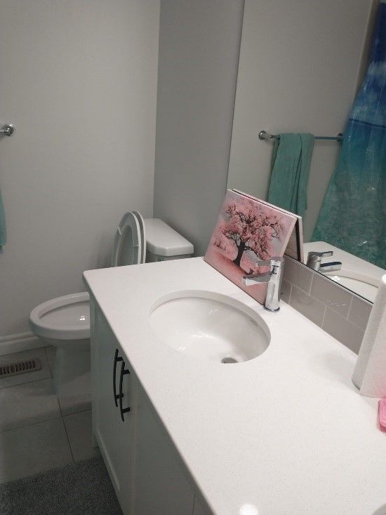 A bathroom with a sink a toilet and a mirror