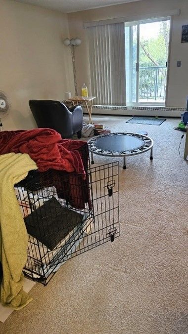 A living room filled with furniture and a trampoline.