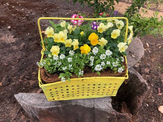 A yellow basket filled with yellow and purple flowers