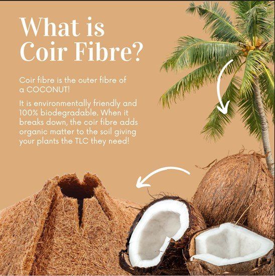 Where does coir fibre come from?