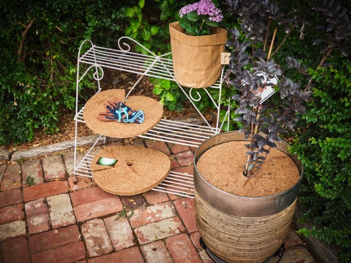 Three potted plants are sitting on a brick patio next to a plant stand.