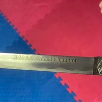 A sword with an engraving above a red and blue background