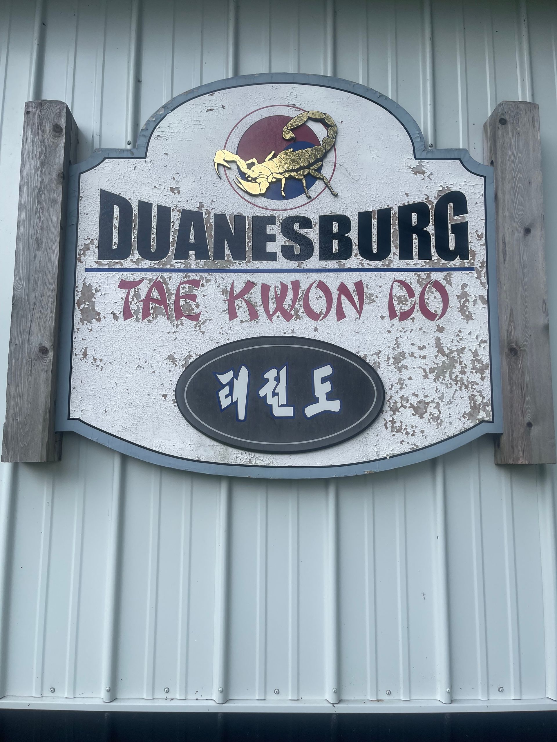 A sign on the side of a building that says duanesburg tae kwon do